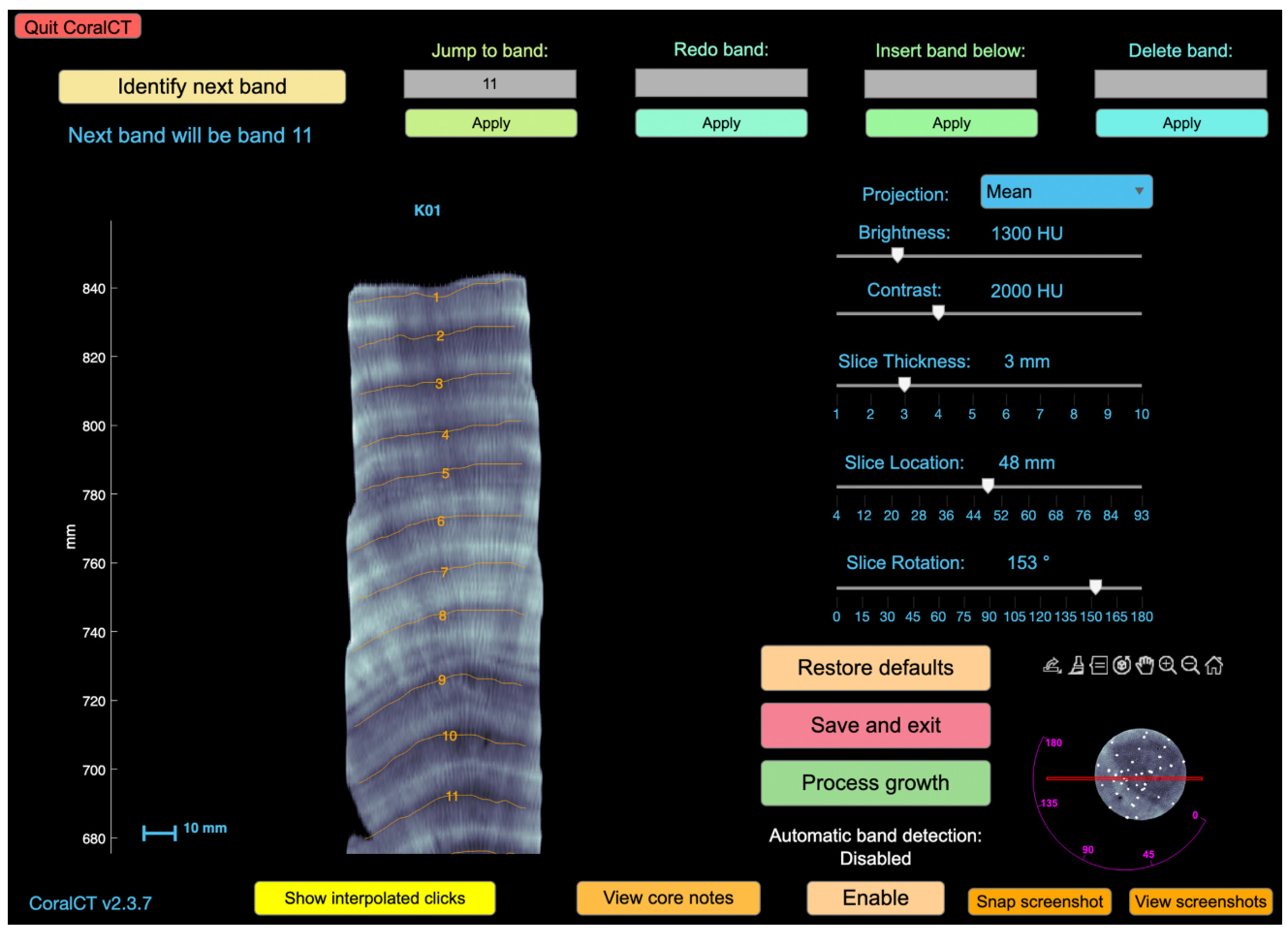 Coral CT imaging visualization for growth-band analysis.