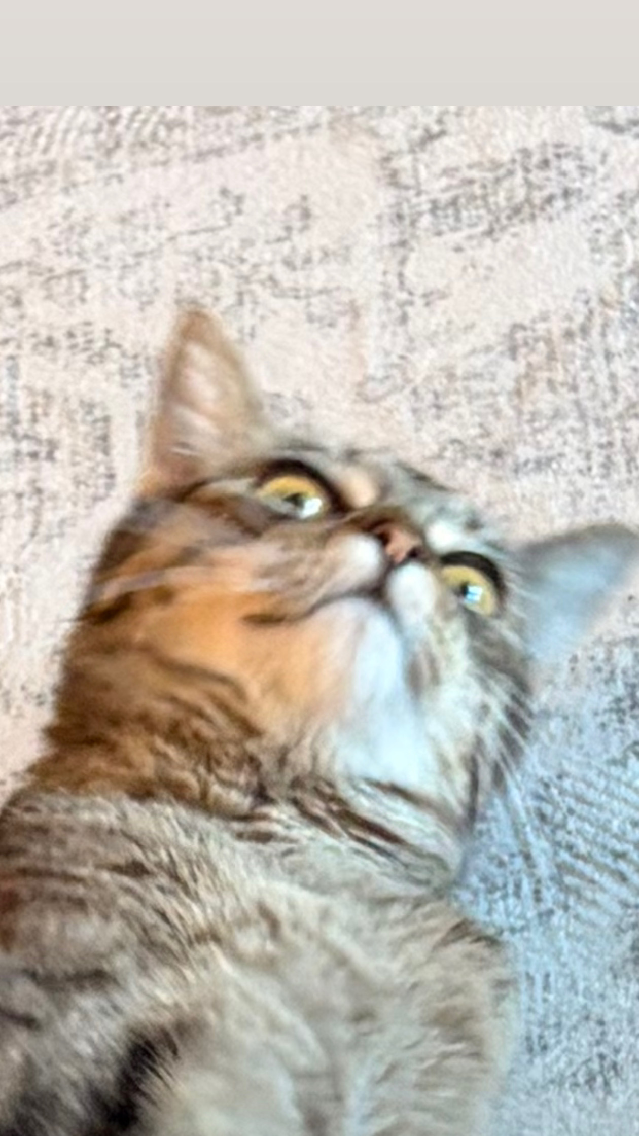 Tony
